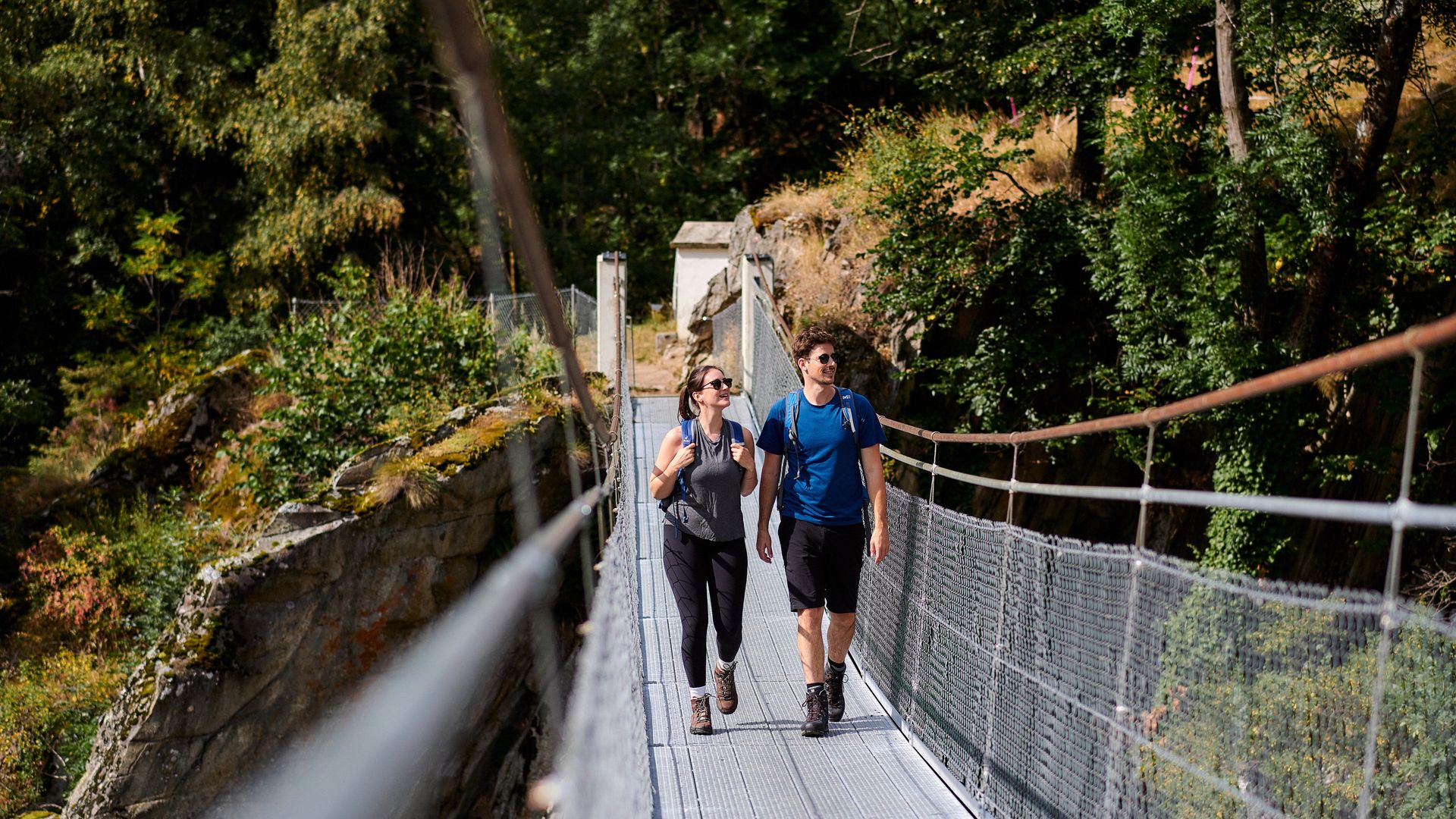 Haengebrücken Aletsch-Goms