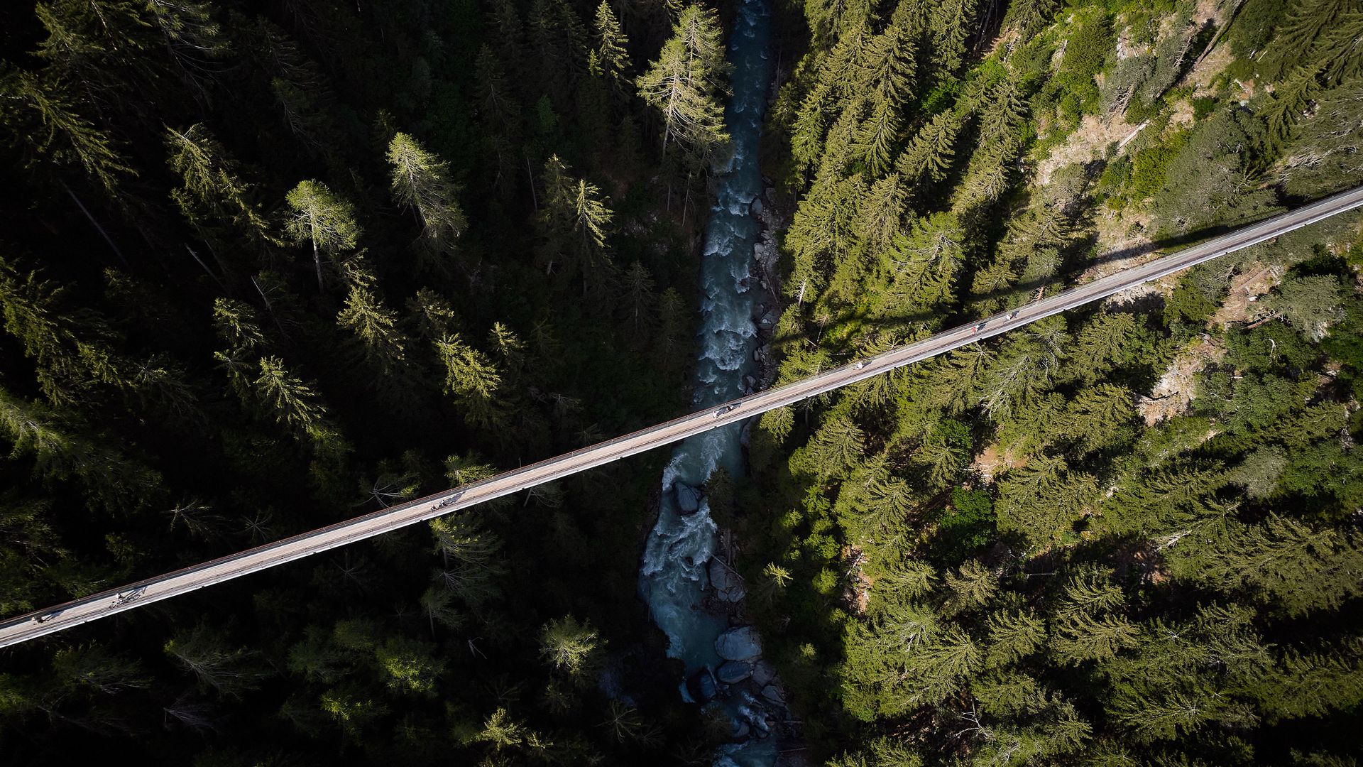 Haengebrücken Aletsch-Goms