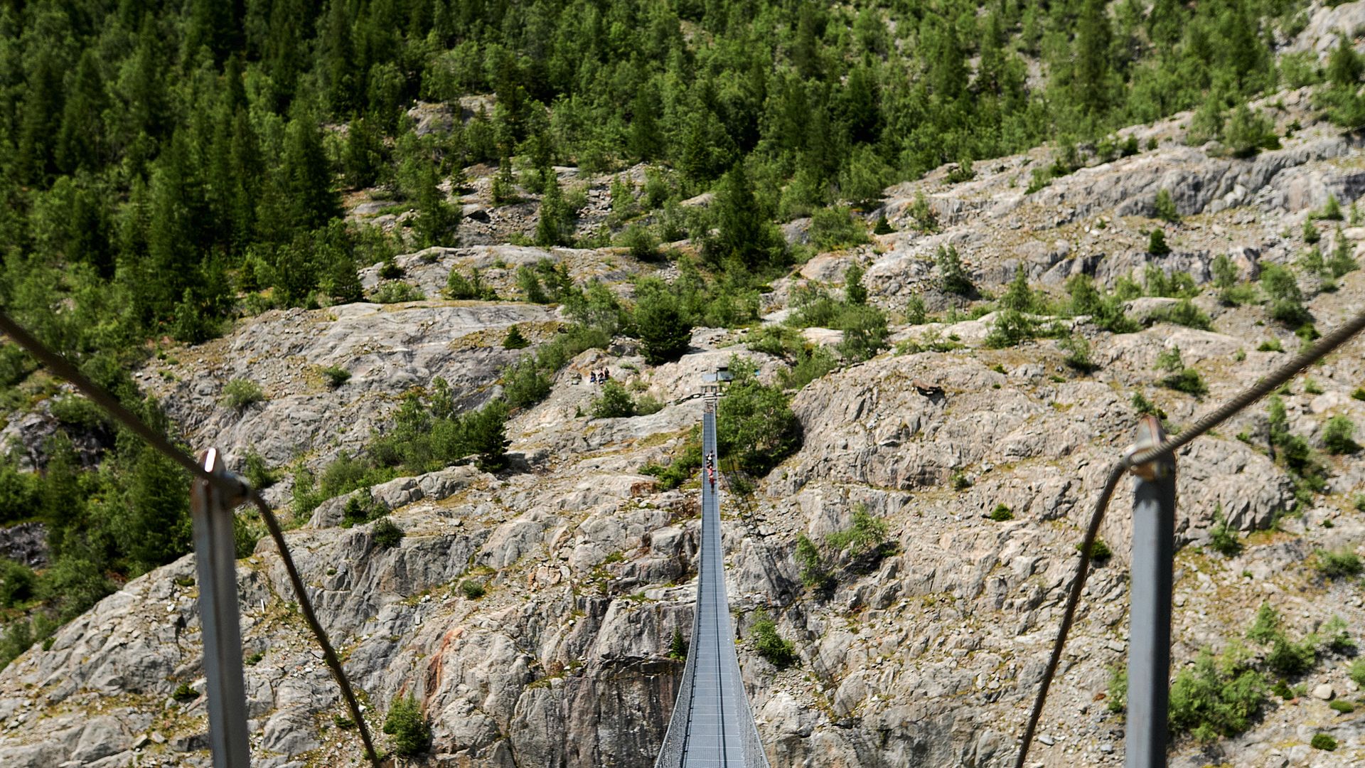 Haengebrücken Aletsch-Goms