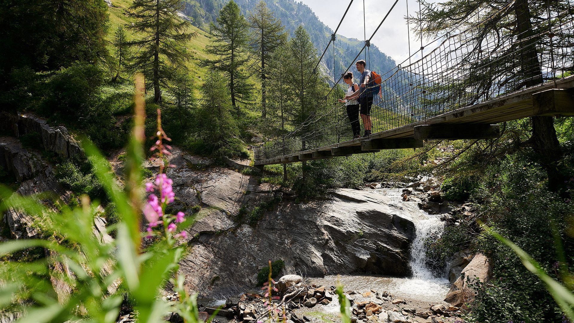 Hängebrücke Bodmer-Brücke