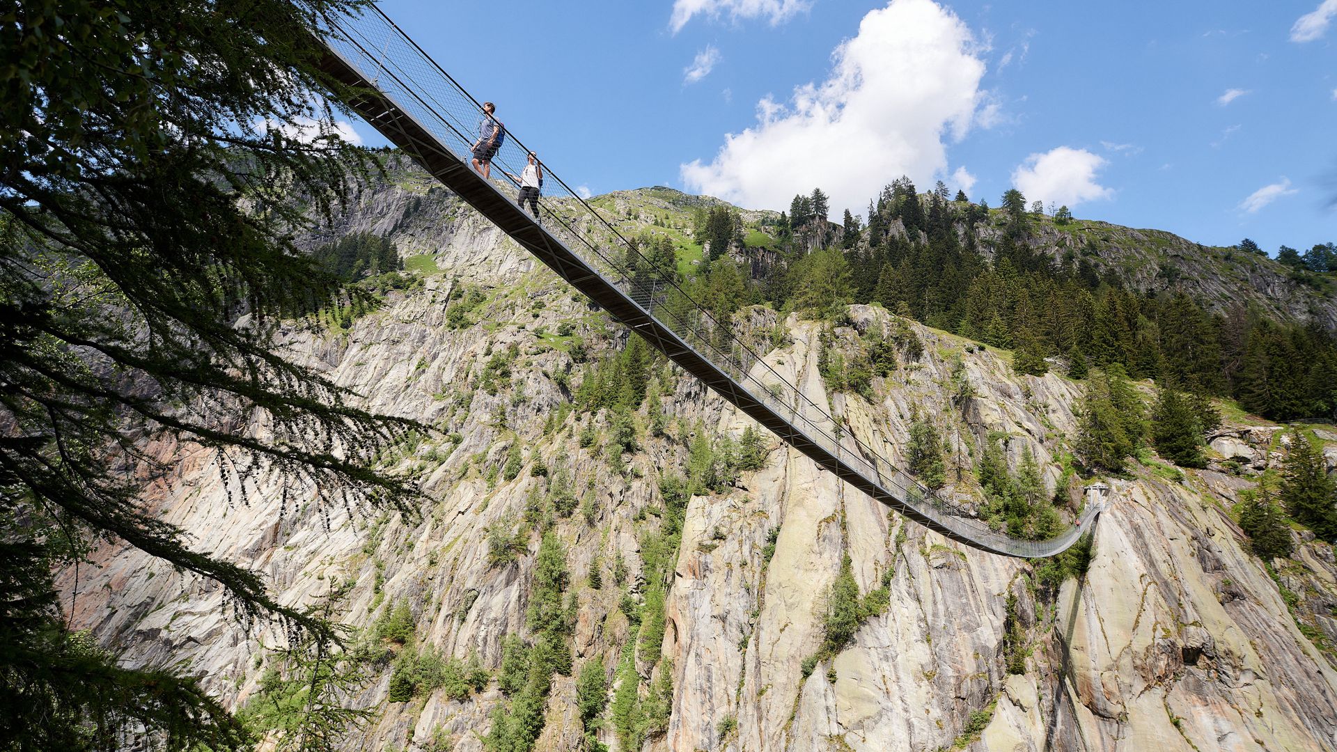 Haengebrücken Aletsch-Goms