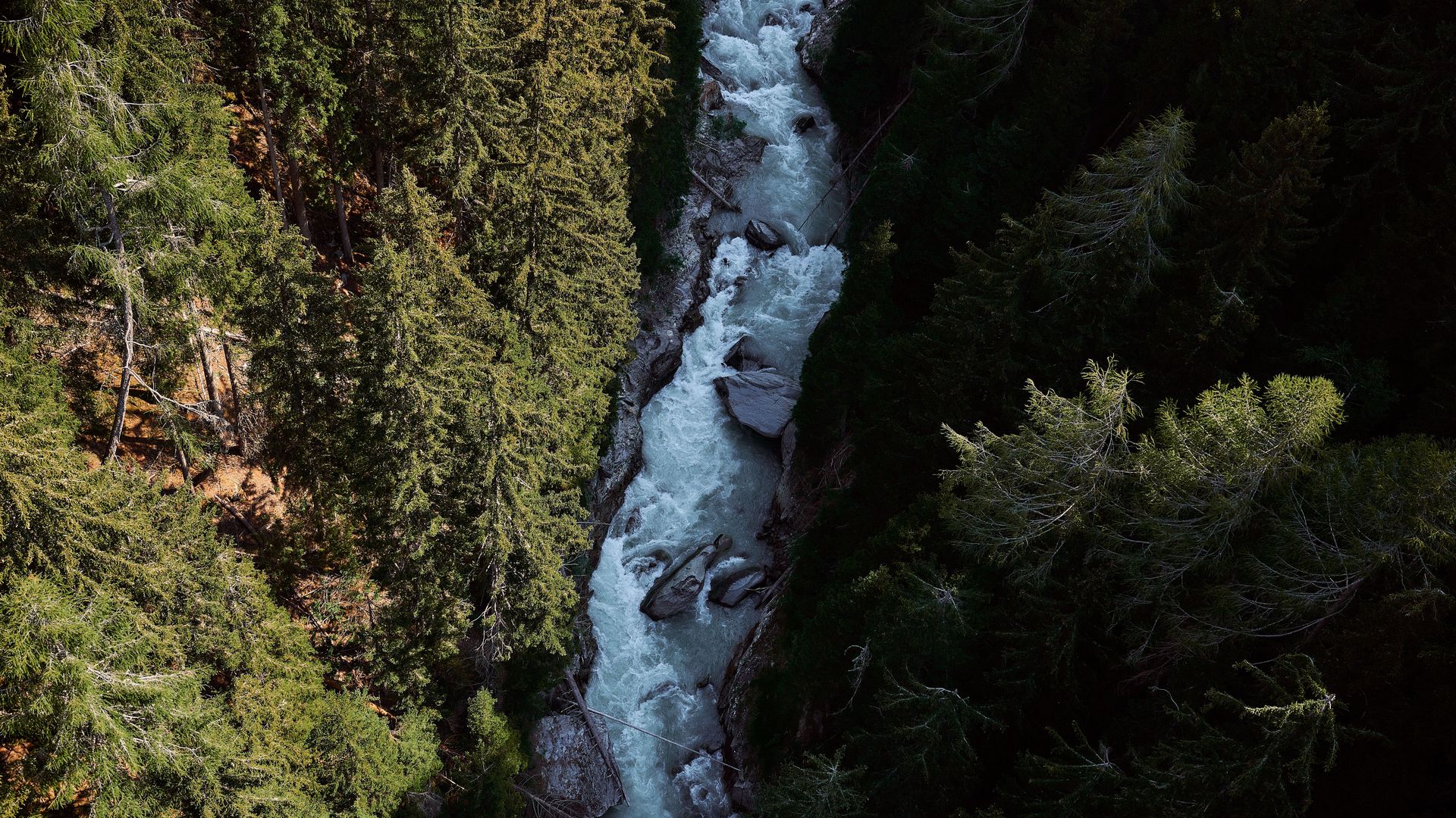 Haengebrücken Aletsch-Goms